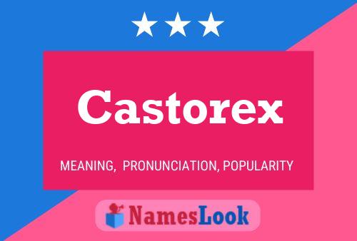 Pôster do nome Castorex