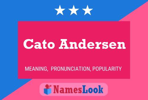 Pôster do nome Cato Andersen