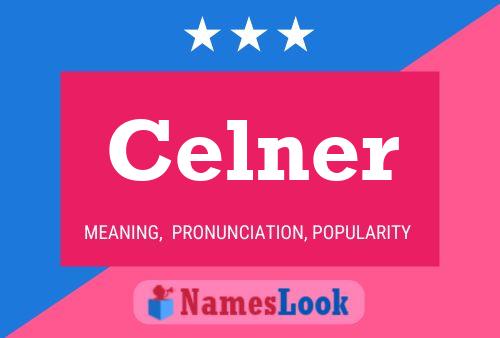 Pôster do nome Celner