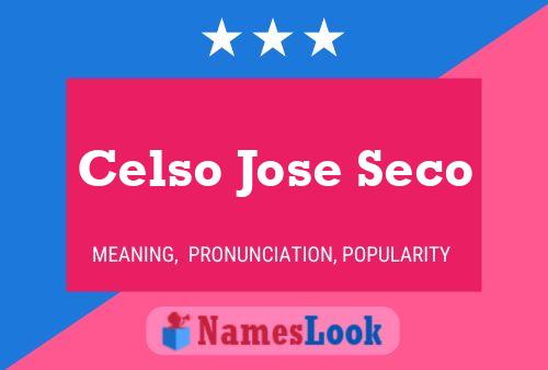 Pôster do nome Celso Jose Seco