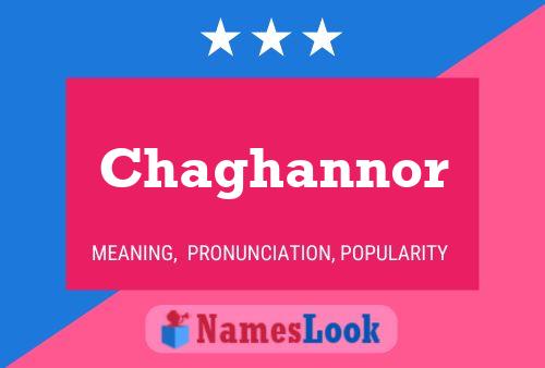 Pôster do nome Chaghannor