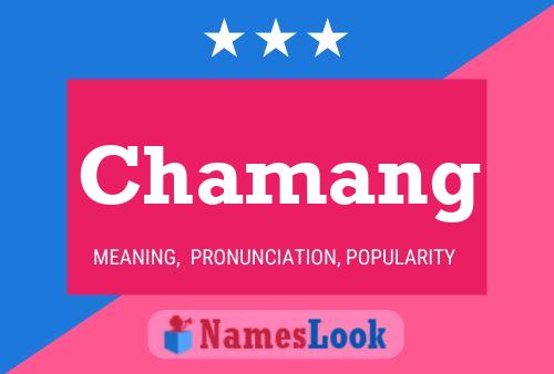 Pôster do nome Chamang