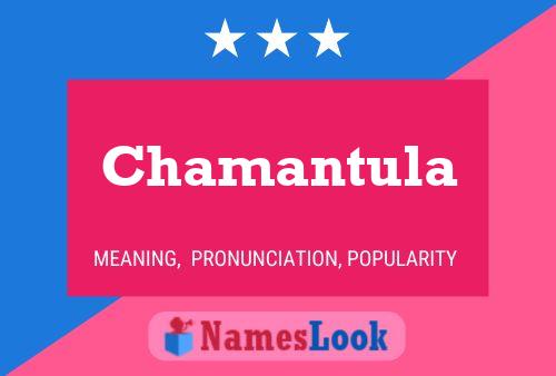 Pôster do nome Chamantula