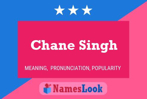 Pôster do nome Chane Singh