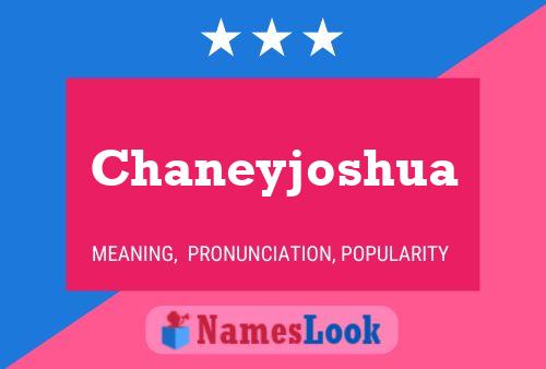 Pôster do nome Chaneyjoshua