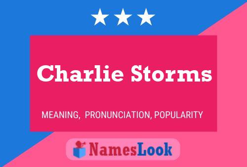 Pôster do nome Charlie Storms