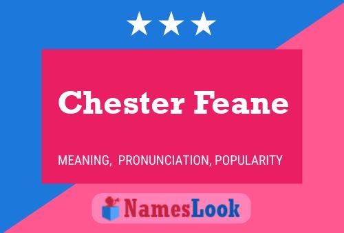 Pôster do nome Chester Feane