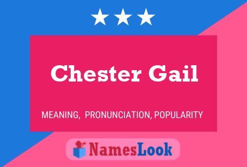 Pôster do nome Chester Gail