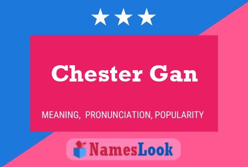 Pôster do nome Chester Gan