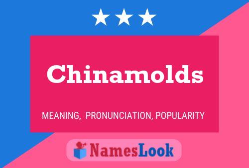 Pôster do nome Chinamolds