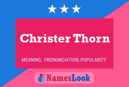 Pôster do nome Christer Thorn