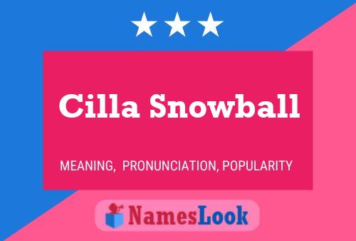 Pôster do nome Cilla Snowball