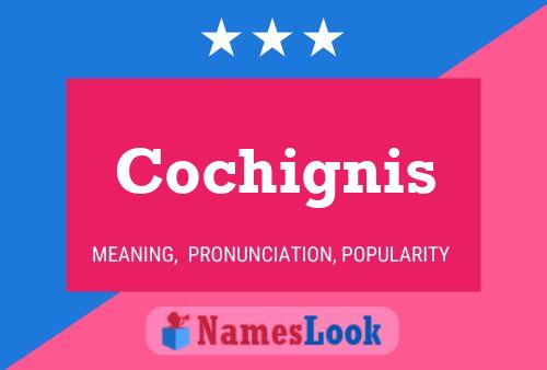 Pôster do nome Cochignis