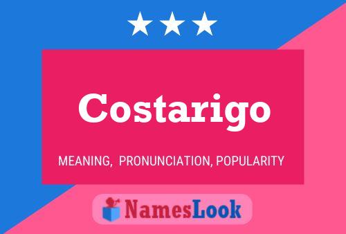 Pôster do nome Costarigo