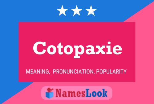 Pôster do nome Cotopaxie