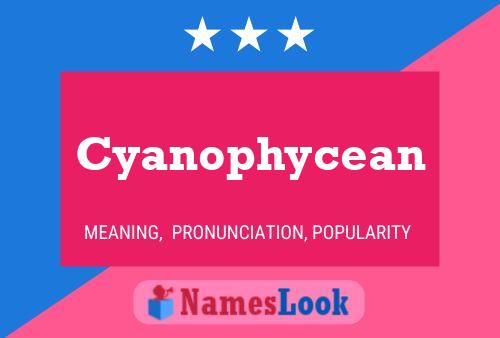 Pôster do nome Cyanophycean