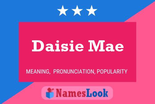 Pôster do nome Daisie Mae