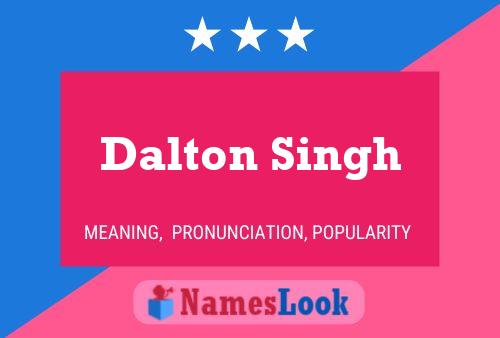 Pôster do nome Dalton Singh