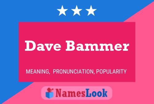 Pôster do nome Dave Bammer