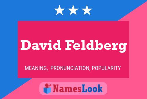 Pôster do nome David Feldberg