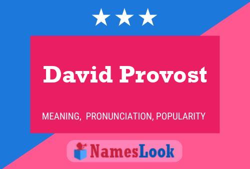 Pôster do nome David Provost