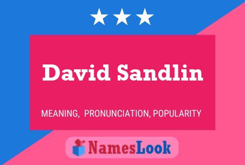 Pôster do nome David Sandlin