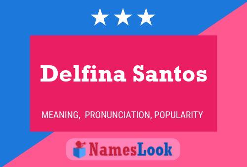 Pôster do nome Delfina Santos