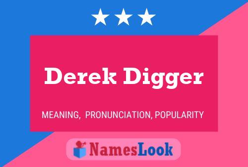 Pôster do nome Derek Digger