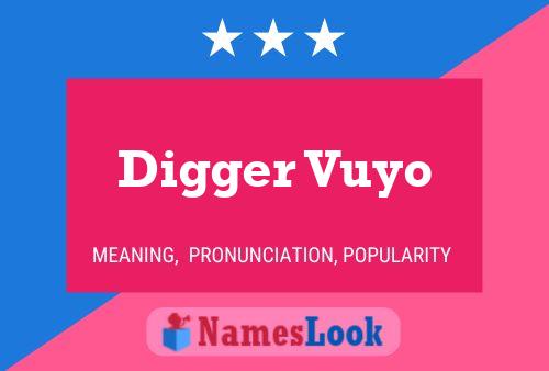 Pôster do nome Digger Vuyo