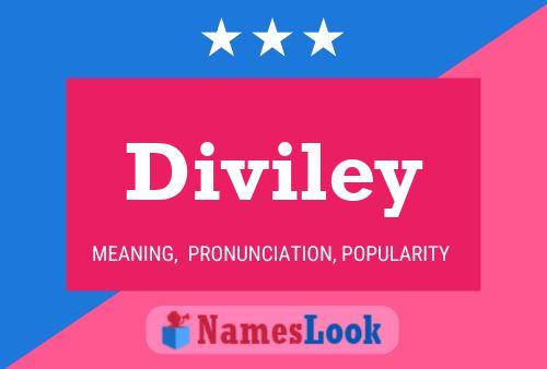 Pôster do nome Diviley