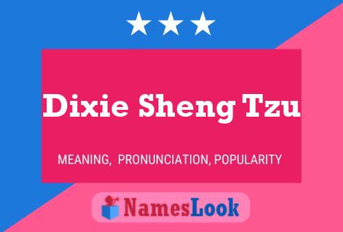 Pôster do nome Dixie Sheng Tzu