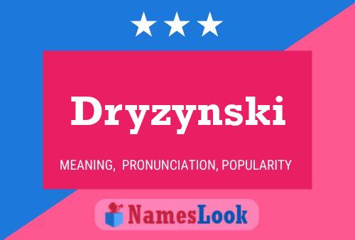 Pôster do nome Dryzynski