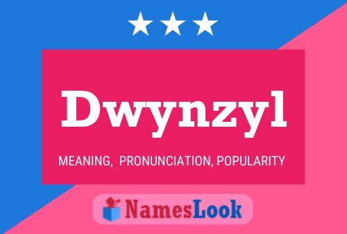 Pôster do nome Dwynzyl