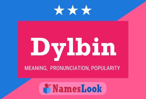 Pôster do nome Dylbin