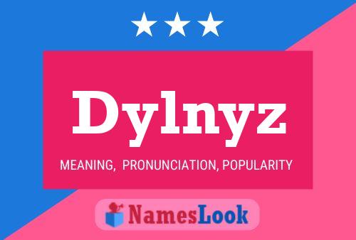 Pôster do nome Dylnyz