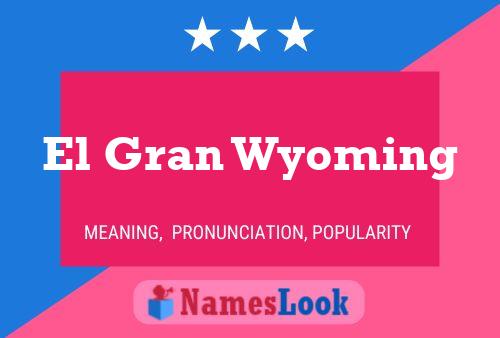 Pôster do nome El Gran Wyoming