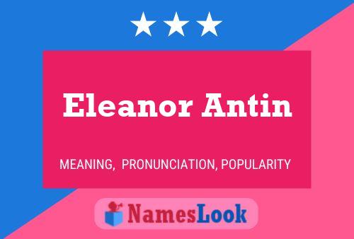 Pôster do nome Eleanor Antin