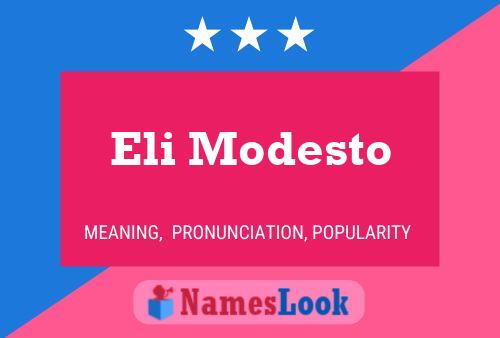 Pôster do nome Eli Modesto