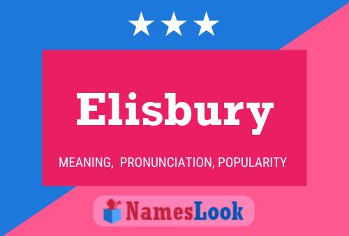 Pôster do nome Elisbury