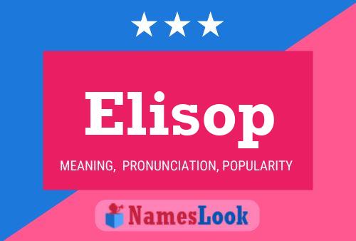 Pôster do nome Elisop