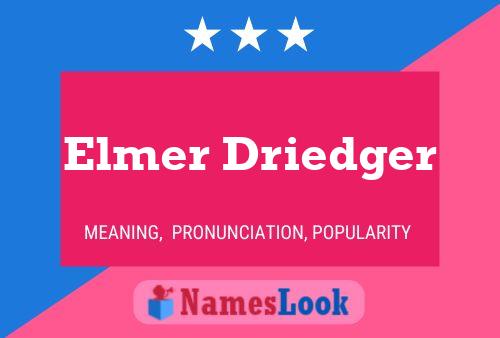 Pôster do nome Elmer Driedger