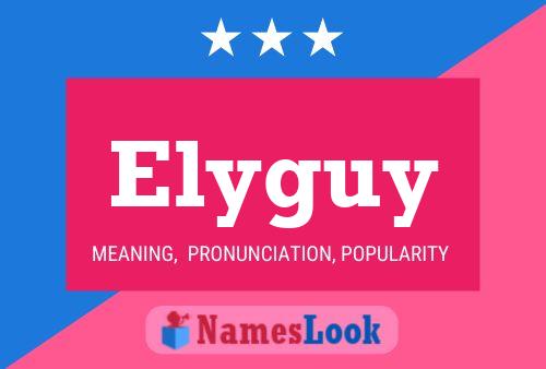 Pôster do nome Elyguy