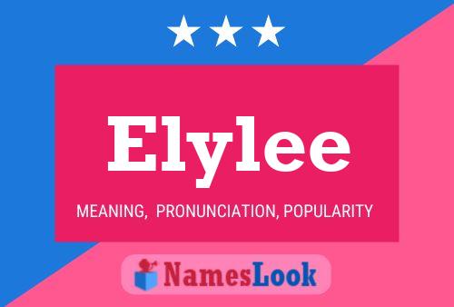 Pôster do nome Elylee