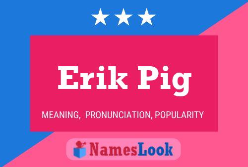 Pôster do nome Erik Pig