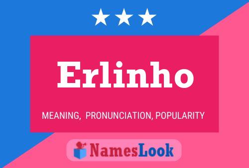 Pôster do nome Erlinho