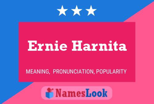 Pôster do nome Ernie Harnita