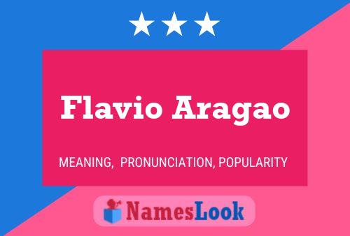 Pôster do nome Flavio Aragao