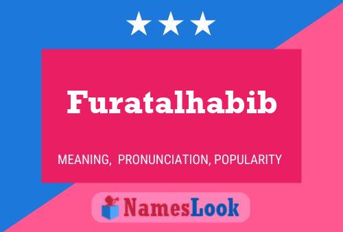 Pôster do nome Furatalhabib