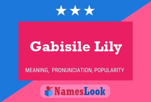 Pôster do nome Gabisile Lily