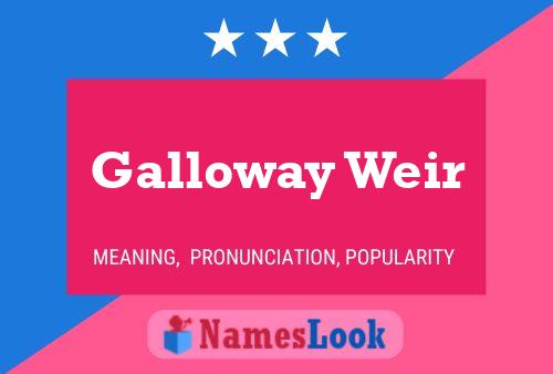 Pôster do nome Galloway Weir